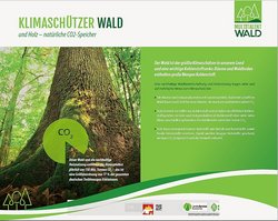 Thementafel Multitalent Wald